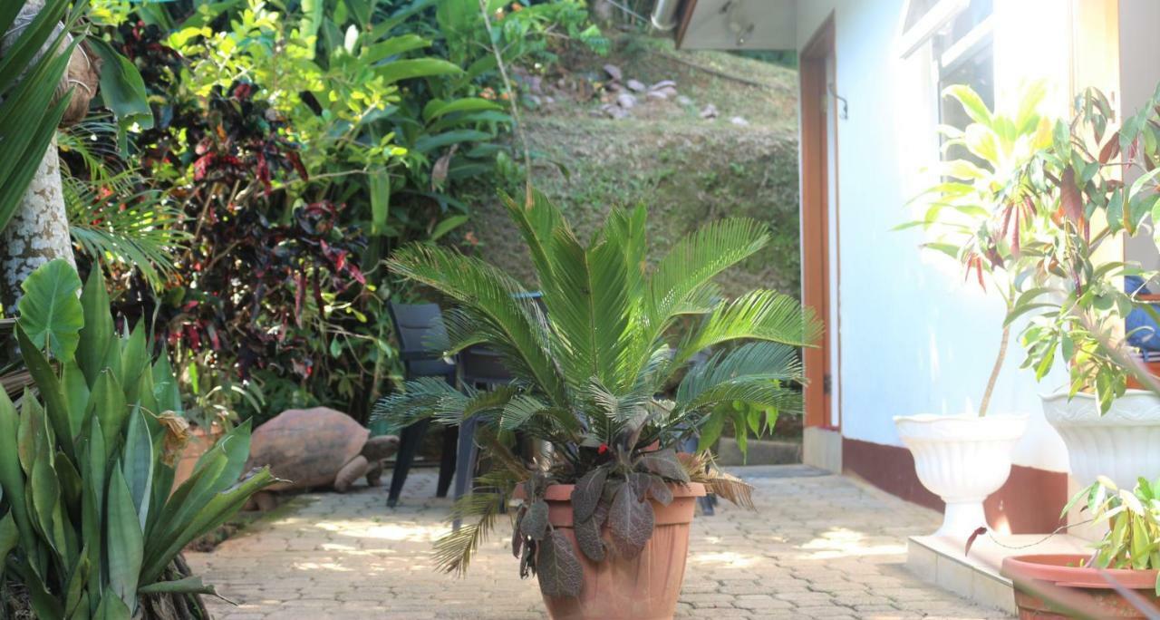 Garden Hut Apartment วิกตอเรีย ภายนอก รูปภาพ