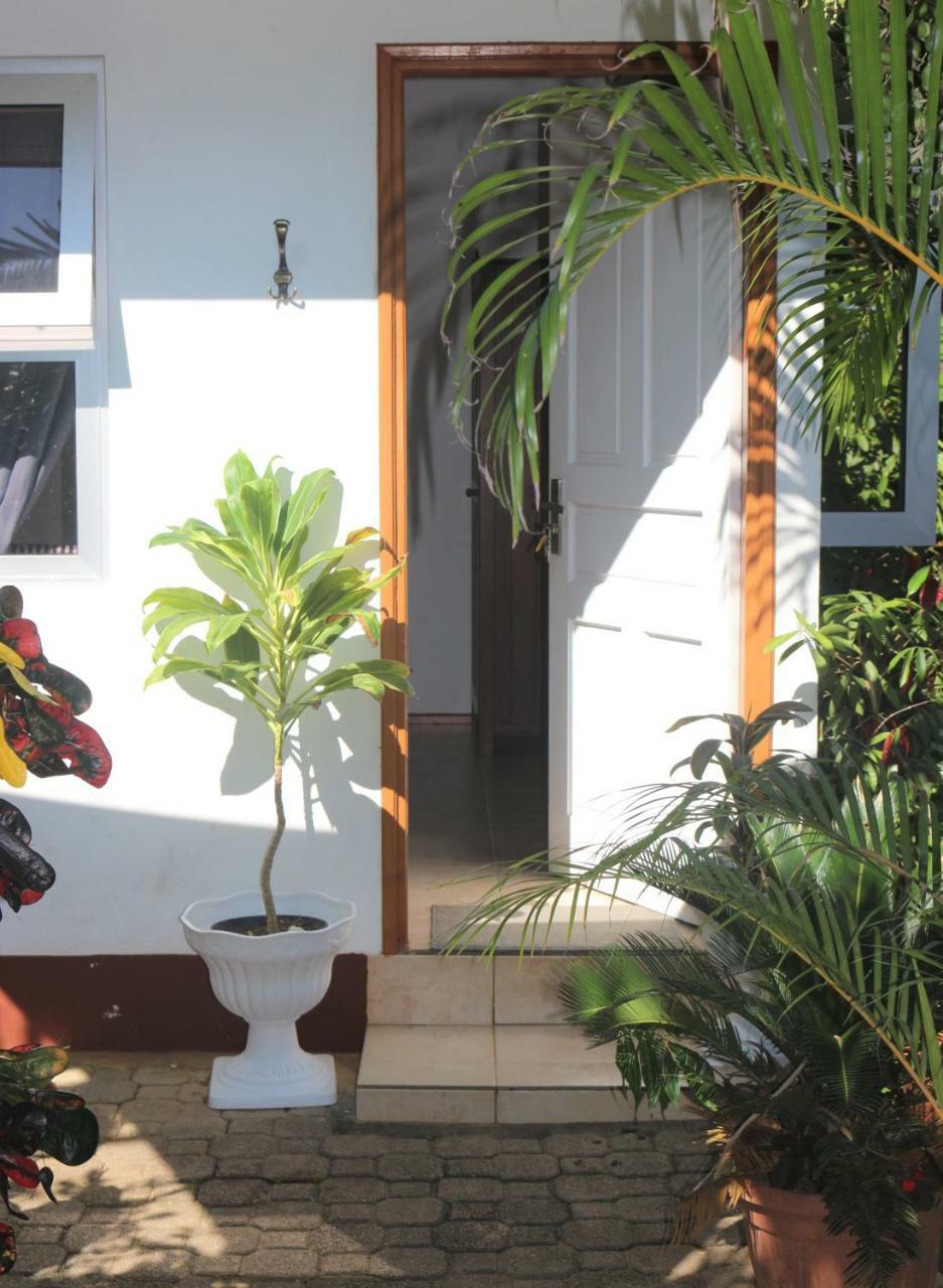 Garden Hut Apartment วิกตอเรีย ภายนอก รูปภาพ