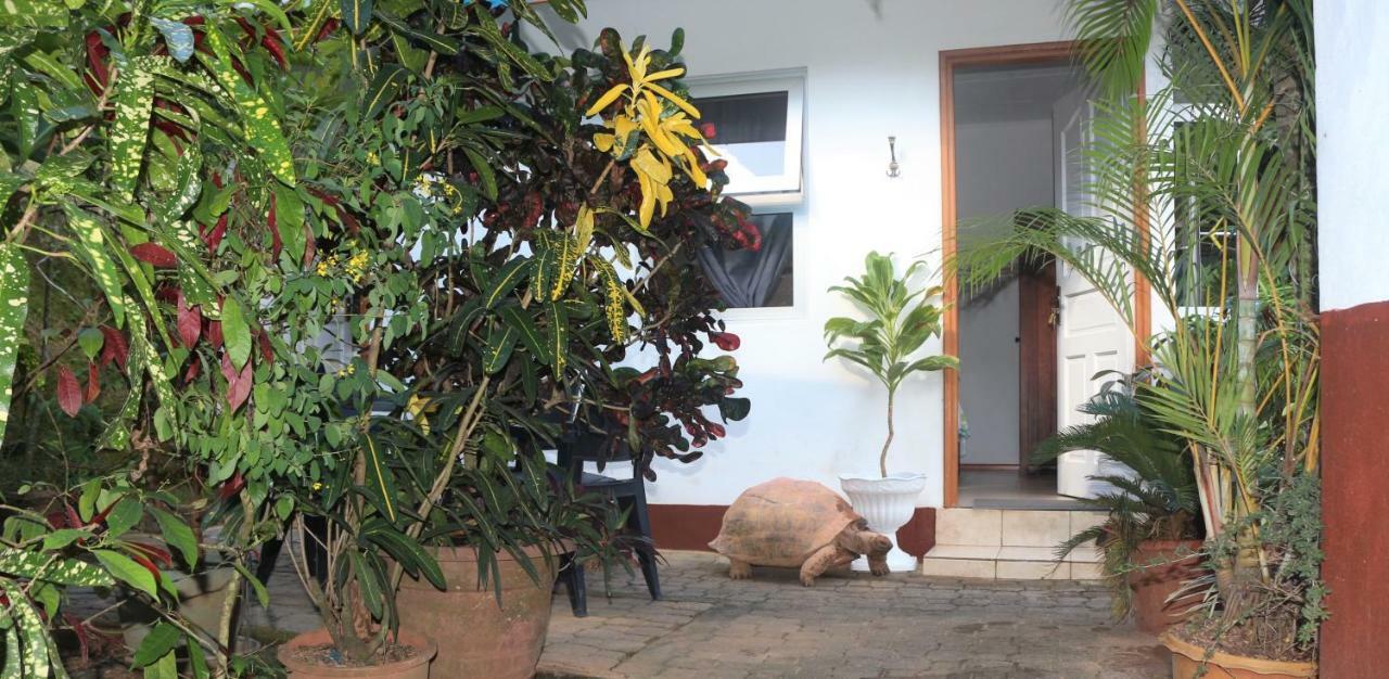 Garden Hut Apartment วิกตอเรีย ภายนอก รูปภาพ